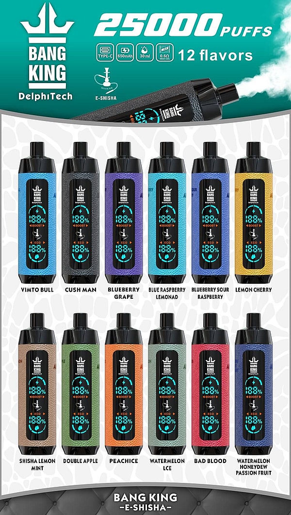 BANG KING Shisha Hookah 25000 Puffs Disposable Vape 4Nicotine 12Flavors Digital screen E Cigarettes - Image 5
