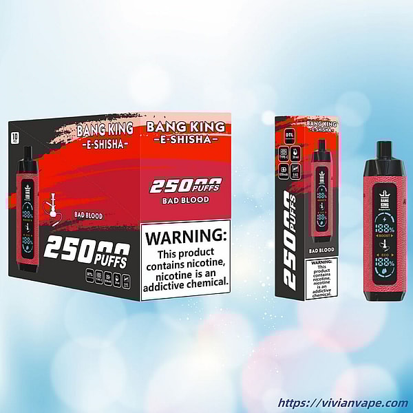 BANG KING Shisha HOOKAH 25000 Puffs Disposable Vape 12Flavors Digital screen E Cigarettes in stock - Image 5