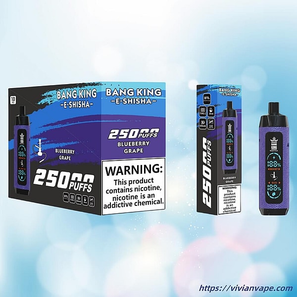 BANG KING Shisha HOOKAH 25000 Puffs Disposable Vape 12Flavors Digital screen E Cigarettes in stock - Image 6