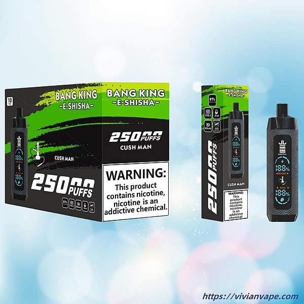 BANG KING Shisha Hookah 25000 Puffs Disposable Vape 4Nicotine 12Flavors Digital screen E Cigarettes - Image 7