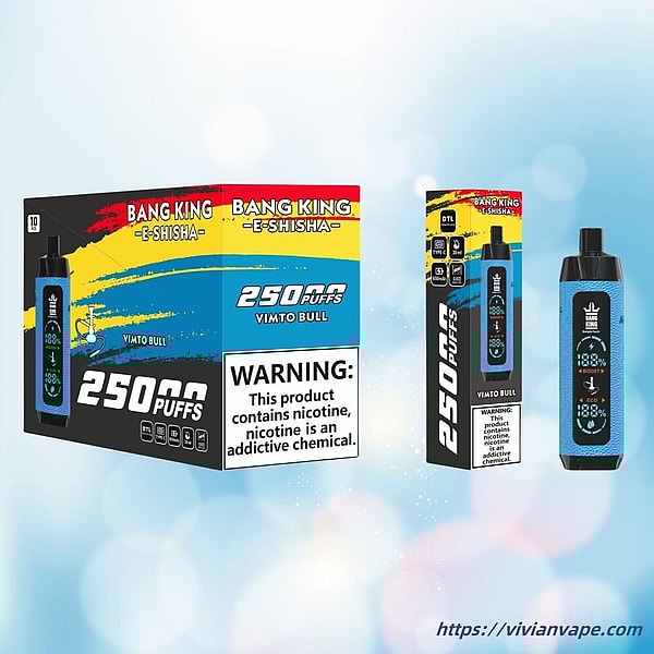 BANG KING Shisha HOOKAH 25000 Puffs Disposable Vape 12Flavors Digital screen E Cigarettes in stock - Image 8