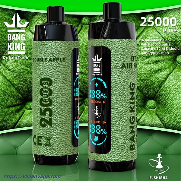 BANG KING Shisha Hookah 25000 Puffs Disposable Vape 4Nicotine 12Flavors Digital screen E Cigarettes - Image 4