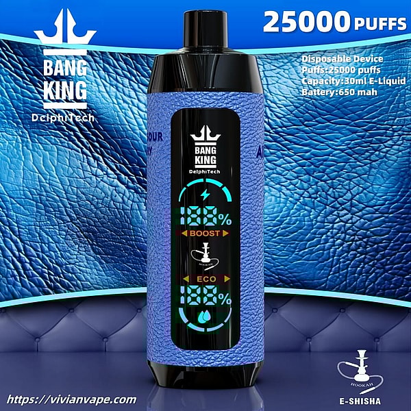 BANG KING Shisha HOOKAH 25000 Puffs Disposable Vape 12Flavors Digital screen E Cigarettes in stock - Image 2