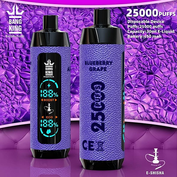 BANG KING Shisha HOOKAH 25000 Puffs Disposable Vape 12Flavors Digital screen E Cigarettes in stock - Image 3