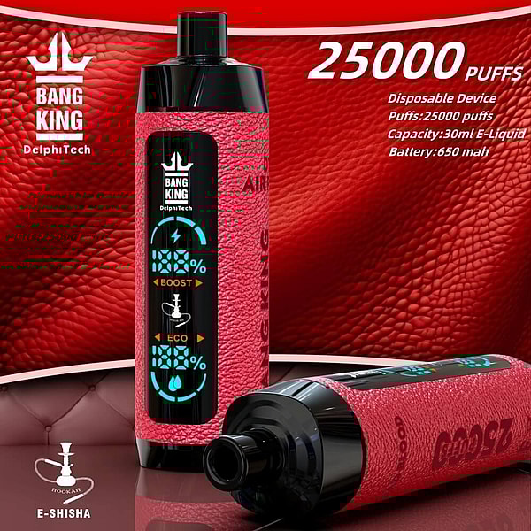 BANG KING Shisha Hookah 25000 Puffs Disposable Vape 4Nicotine 12Flavors Digital screen E Cigarettes - Image 2