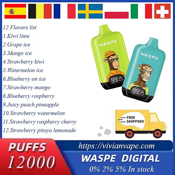 WASPE Digital Box 12000 Puffs Disposable Vape LED display Type-C 10Flavors 20ml liquid E Cigarette
