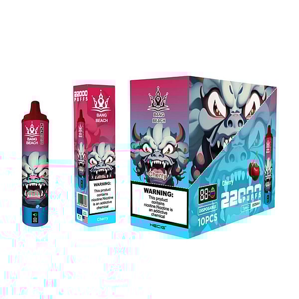 BANG BEACH 22000 Puffs Vape Type-C 12Flavors LED displayid Disposable E Cigarette in stock - Image 3