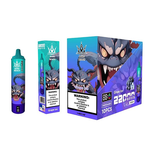 BANG BEACH 22000 Puffs Vape Type-C 12Flavors LED displayid Disposable E Cigarette in stock - Image 4