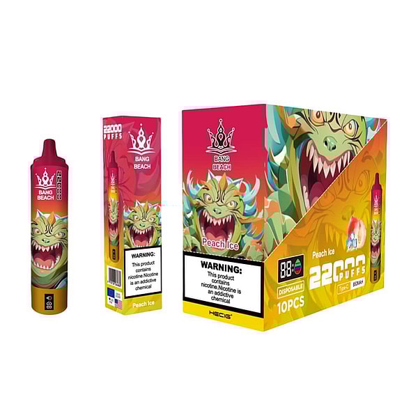 BANG BEACH 22000 Puffs Vape Type-C 12Flavors LED displayid Disposable E Cigarette in stock - Image 5