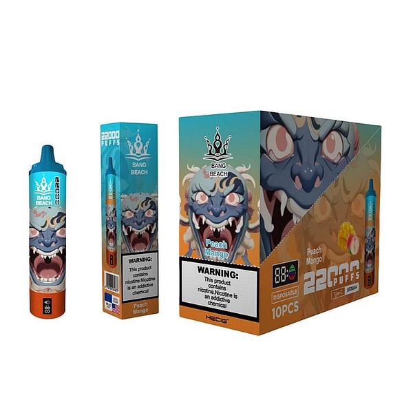 BANG BEACH 22000 Puffs Vape Type-C 12Flavors LED displayid Disposable E Cigarette in stock - Image 6