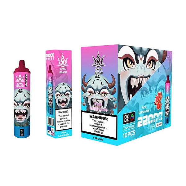 BANG BEACH 22000 Puffs Vape Type-C 12Flavors LED displayid Disposable E Cigarette in stock - Image 7