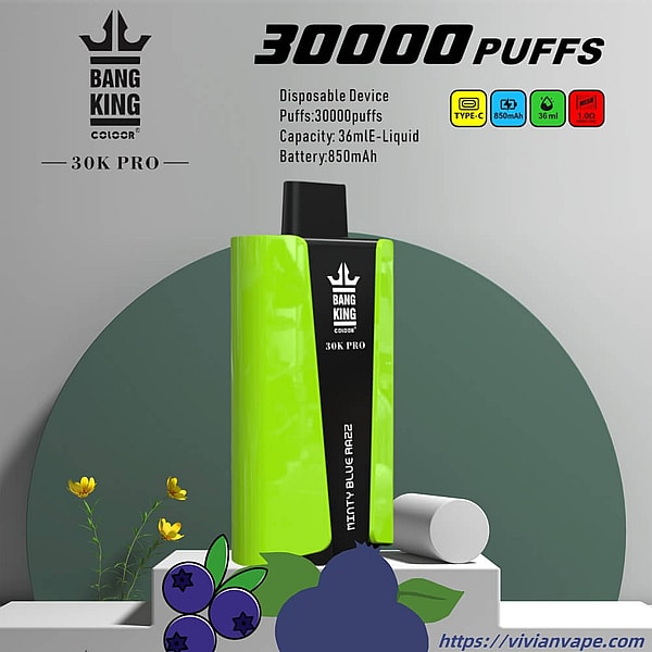 BANGKING 30000 PRO puffs vape 0%2%5%Nicotine 12Flavors Type-C rechargeable E Cigarettes - Image 3