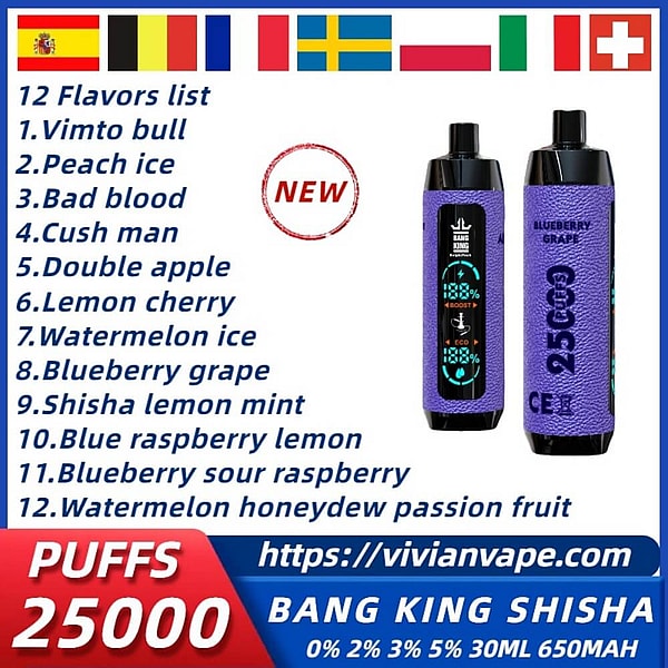 BANG KING Shisha HOOKAH 25000 Puffs Disposable Vape 12Flavors Digital screen E Cigarettes in stock