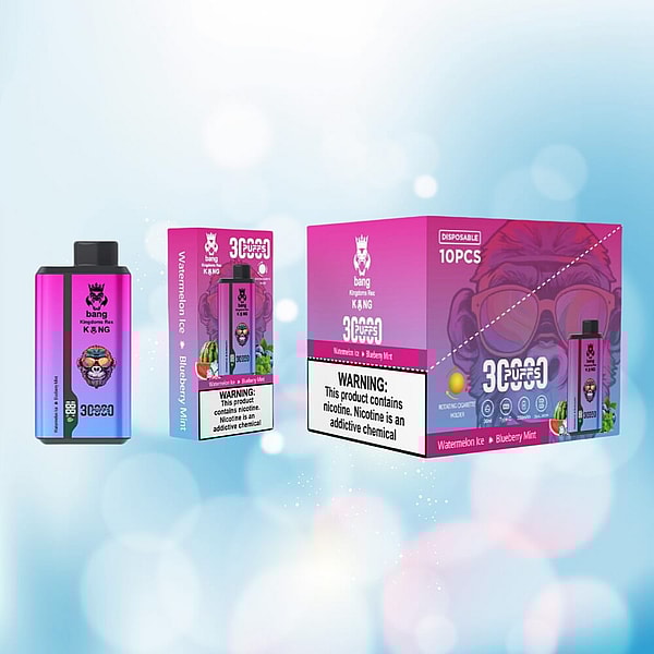bangKing Kingdoms Rex 30000 Puffs Vape Type-C LED display dual flavors Disposable E Cigarette in stock - Image 4