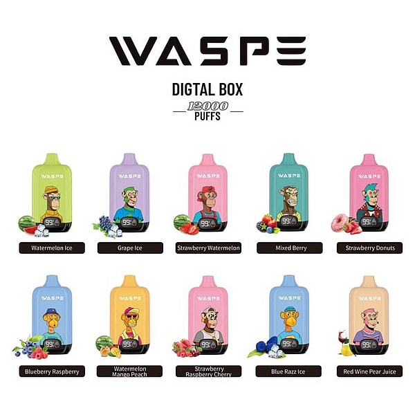 WASPE Digital Box 12000 Puffs Disposable Vape LED display Type-C 10Flavors 20ml liquid E Cigarette - Image 3